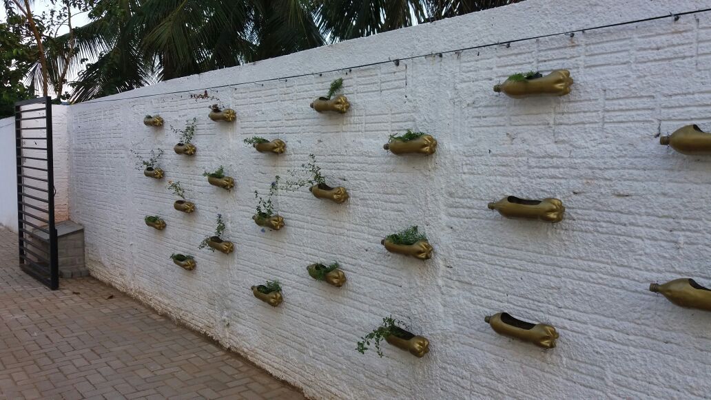 Várias garrafas pets reclicladas, transformadas em vazos, pintadas de cor ouro e fixadas no muro branco da Vara.