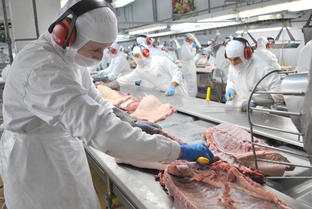 Trabalho em frigoríficos durante a pandemia