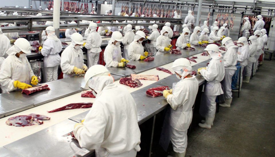 Foto: Divulgação - Trabalhadores na linha de produção de um frigorífico