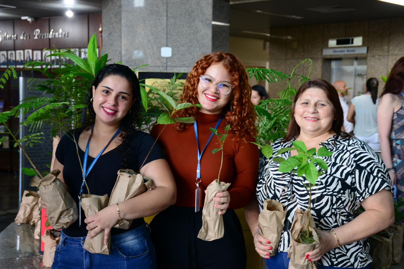 A foto mostra três pessoas com mudas de plantas nas mãos