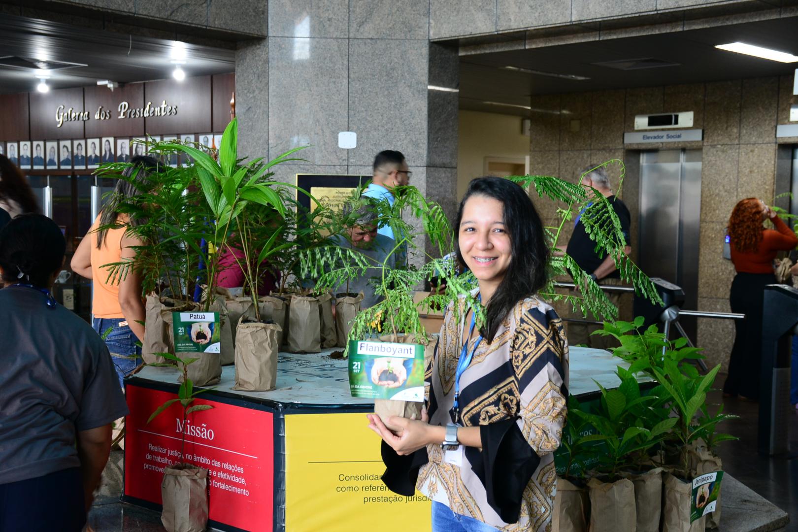 A foto mostra uma pessoa com mudas de plantas 