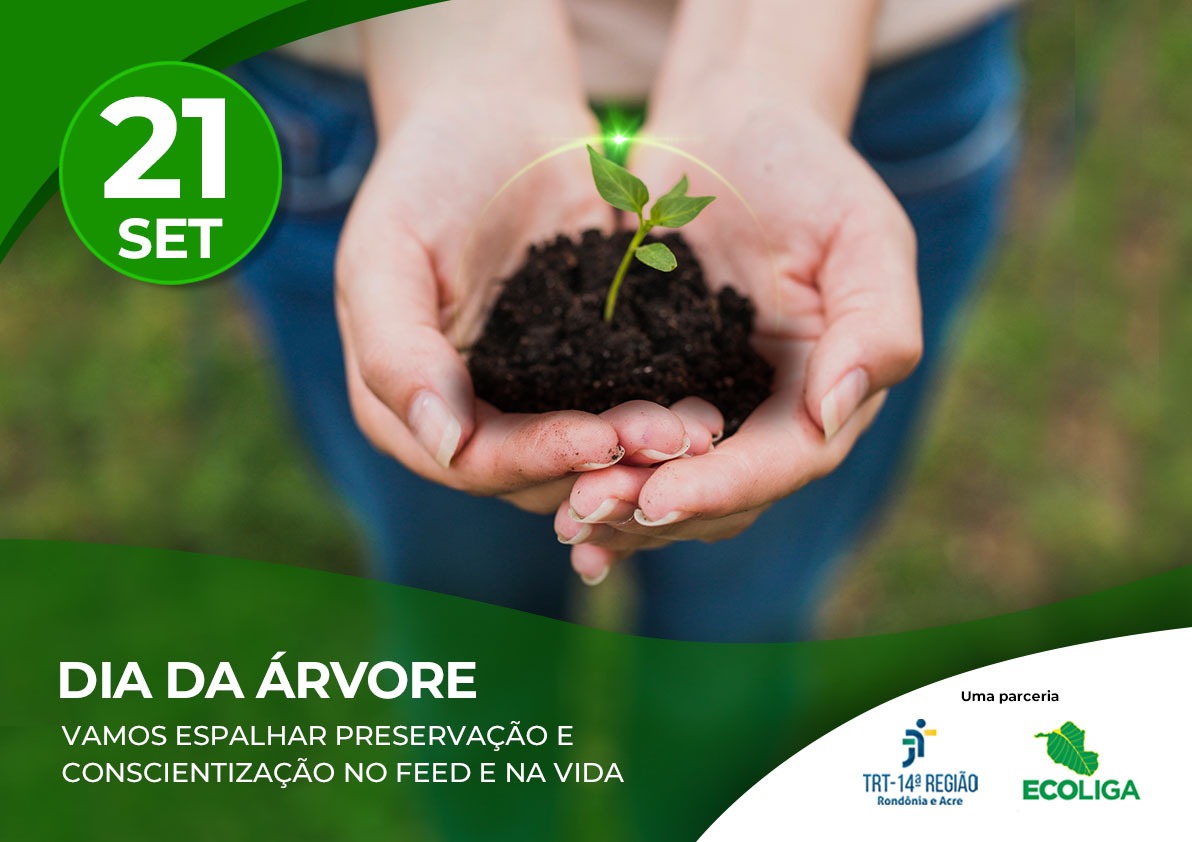A imagem mostra ao centro mãos que carregam uma muda de planta. No canto esquerdo tem a data 21 de setembro, e em baixo o texto: dia da árvore, vamos espalhar conscientização no feed e na vida.