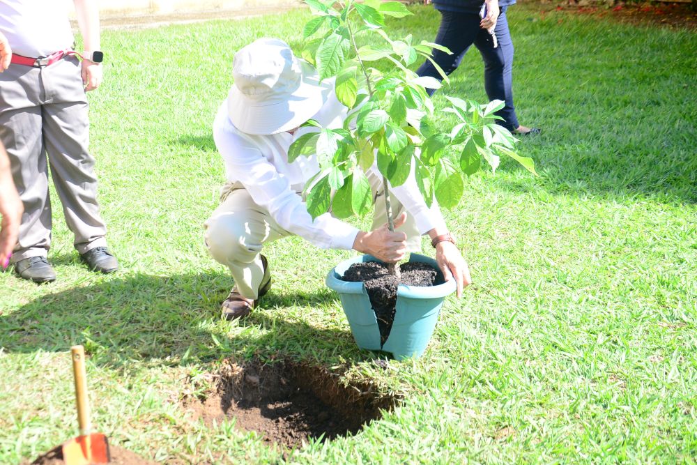 Presidente Ilson Pequeno plantando a muda de baobá